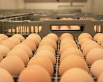 IMG_3512 (2013_04_01 09_26_24 UTC)