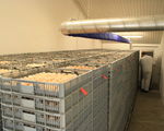 IMG_3508 (2013_04_01 09_26_24 UTC)
